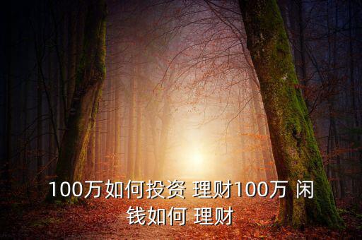 100萬閑錢怎么理財,股市賺錢攻略