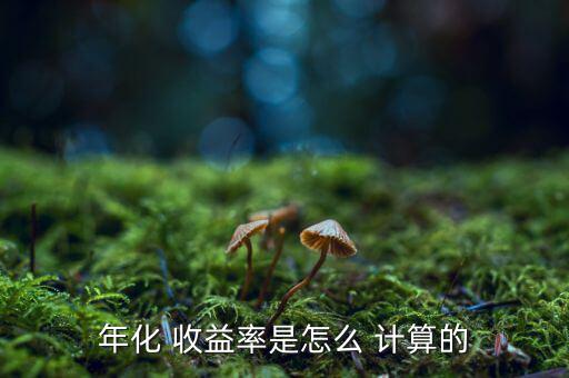 年化 收益率是怎么 計(jì)算的