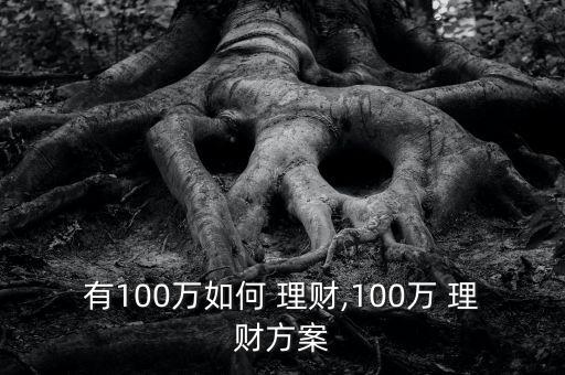 有100萬如何 理財,100萬 理財方案