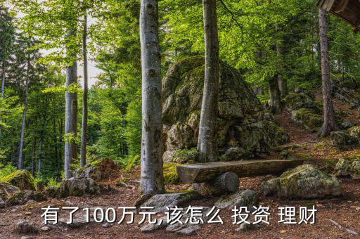 有了100萬元,該怎么 投資 理財