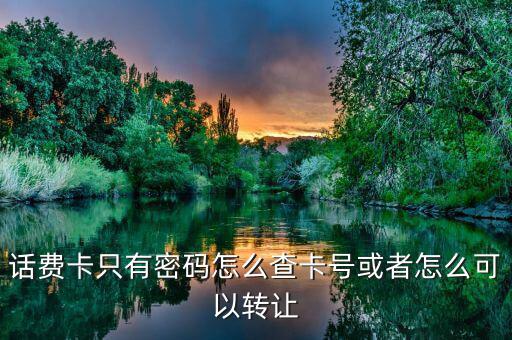 話費卡只有密碼怎么查卡號或者怎么可以轉(zhuǎn)讓