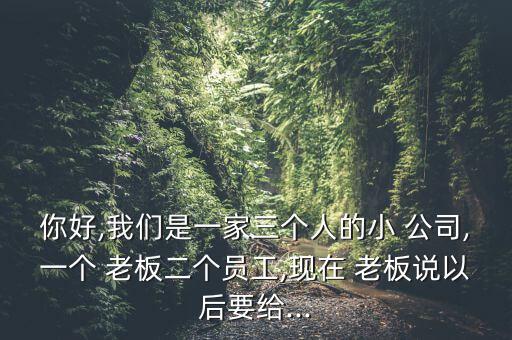 你好,我們是一家三個(gè)人的小 公司,一個(gè) 老板二個(gè)員工,現(xiàn)在 老板說(shuō)以后要給...