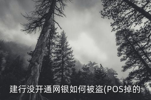 建行沒開通網銀如何被盜(POS掉的