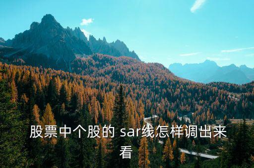  股票中個(gè)股的 sar線怎樣調(diào)出來(lái)看