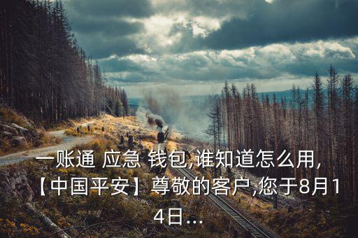 一賬通 應急 錢包,誰知道怎么用,【中國平安】尊敬的客戶,您于8月14日...