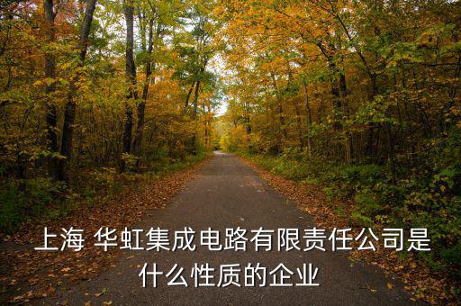  上海 華虹集成電路有限責(zé)任公司是什么性質(zhì)的企業(yè)