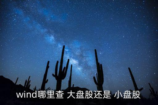 怎么看是大盤股還是小盤股,什么是小盤股?沒有統(tǒng)一標準