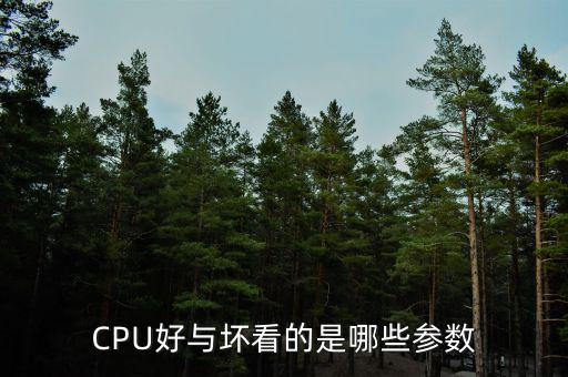 CPU好與壞看的是哪些參數(shù)