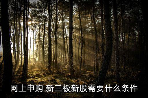 新三板怎么炒,新三板新股網(wǎng)上申購(gòu)需滿(mǎn)足哪些條件?