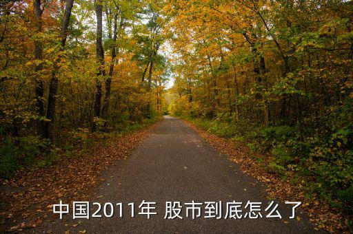 中國2011年 股市到底怎么了