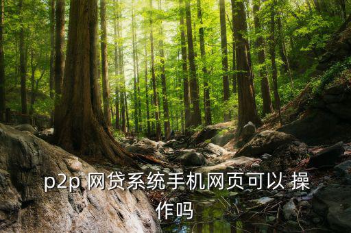  p2p 網(wǎng)貸系統(tǒng)手機(jī)網(wǎng)頁(yè)可以 操作嗎