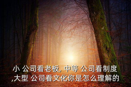 怎么算中等公司,關(guān)于發(fā)展和管理我們必須知道的事