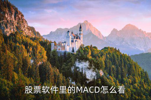 股票軟件里的MACD怎么看