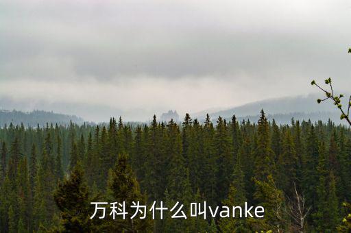  萬(wàn)科為什么叫vanke