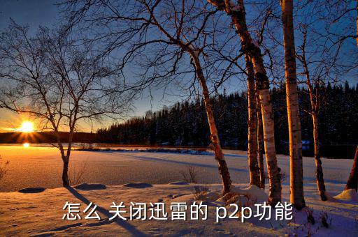 p2p怎么關閉,關于百度云下載速度其他問題可嘗試使用