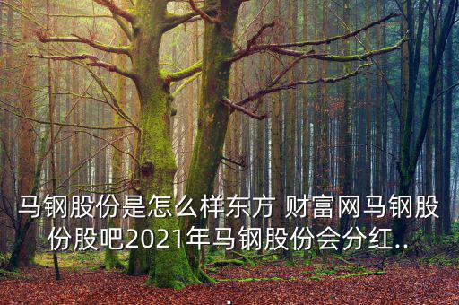 馬鋼股份是怎么樣?xùn)|方 財富網(wǎng)馬鋼股份股吧2021年馬鋼股份會分紅...