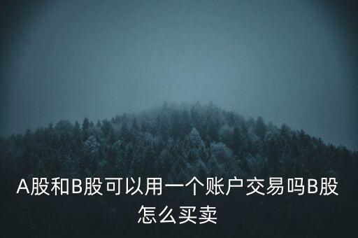 A股和B股可以用一個(gè)賬戶交易嗎B股怎么買(mǎi)賣(mài)