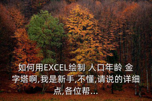 如何用EXCEL繪制 人口年齡 金字塔啊,我是新手,不懂,請(qǐng)說的詳細(xì)點(diǎn),各位幫...