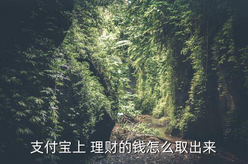 順手付理財(cái)怎么轉(zhuǎn)出,支付寶理財(cái)攻略（一）