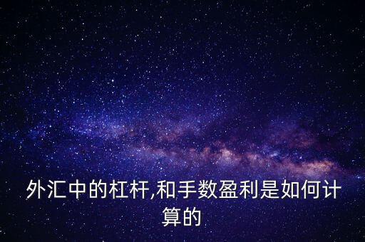  外匯中的杠桿,和手?jǐn)?shù)盈利是如何計算的