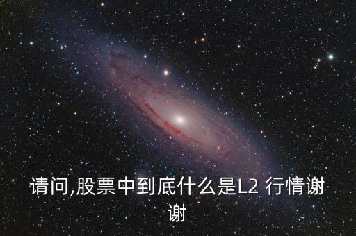 請問,股票中到底什么是L2 行情謝謝