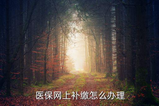 怎么補(bǔ)交醫(yī)保,因個人原因斷了社?？缮暾埞緸樽约豪U納費(fèi)用