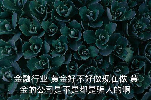  金融行業(yè) 黃金好不好做現(xiàn)在做 黃金的公司是不是都是騙人的啊