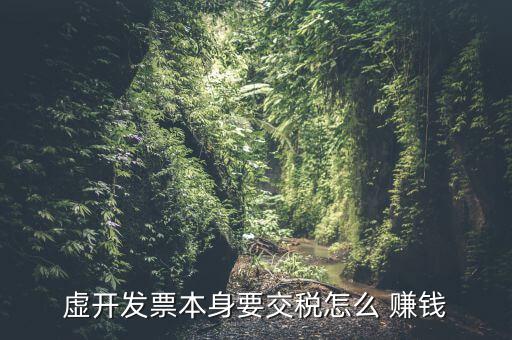 虛開(kāi)發(fā)票本身要交稅怎么 賺錢