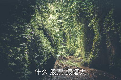 怎么找振幅大的股票,股票振幅數(shù)據(jù)可預(yù)測幾種可能