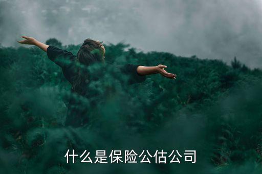 什么是承保公估，保險(xiǎn)中的公估是什么概念