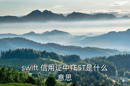 swift 信用證中TEST是什么意思