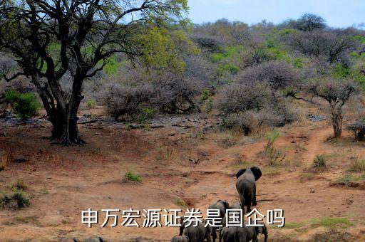 申萬宏源證券是國企嗎