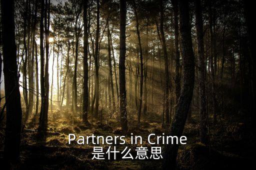 人工角膜是什么，Partners in Crime是什么意思