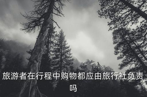 旅游者在行程中購物都應(yīng)由旅行社負責嗎