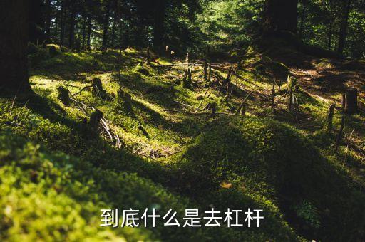 什么是去杠桿去產(chǎn)能，到底什么是去杠桿