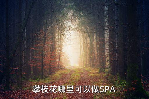 雅化集團(tuán)攀枝花恒泰做什么的，攀枝花哪里可以做SPA