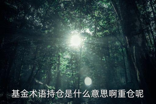 etf持倉是什么意思，基金術(shù)語持倉是什么意思啊重倉呢