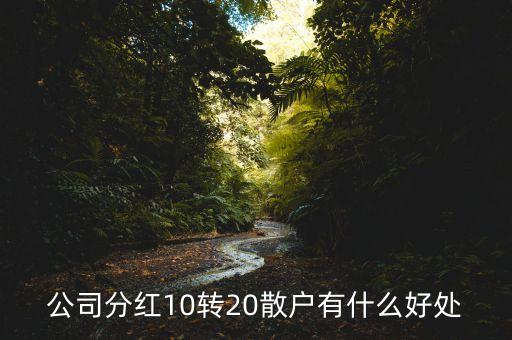 公司分紅10轉(zhuǎn)20散戶有什么好處