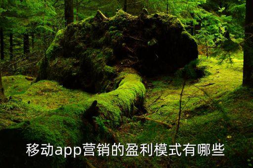 app的盈利模式是什么，錢(qián)教授APP的盈利模式是什么