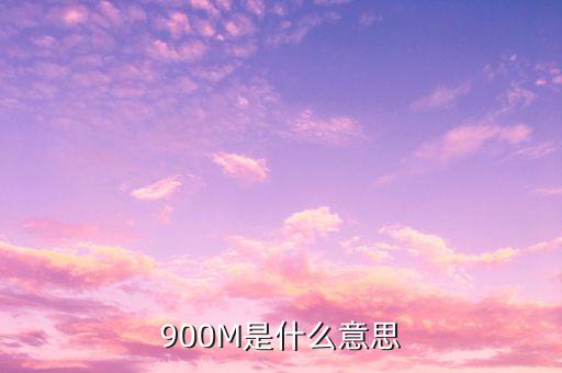 負(fù)債900m是什么意思，900m是什么意思