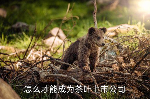 茶葉茶企為什么難上市，怎么才能成為茶葉上市公司