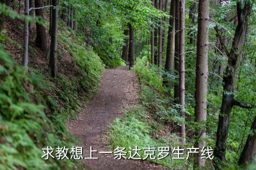 上海達(dá)克羅涂復(fù)工業(yè)有限公司做什么的，求教想上一條達(dá)克羅生產(chǎn)線