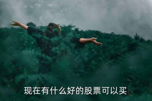 現(xiàn)在有什么好的股票可以買