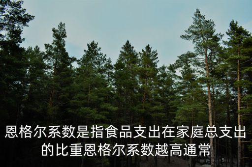 什么是恩格爾系數(shù)法，什么是恩戈爾系數(shù)