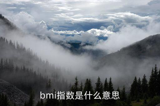 bmi指數(shù)是什么意思