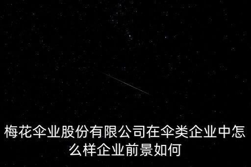 梅花傘業(yè)股份有限公司在傘類(lèi)企業(yè)中怎么樣企業(yè)前景如何