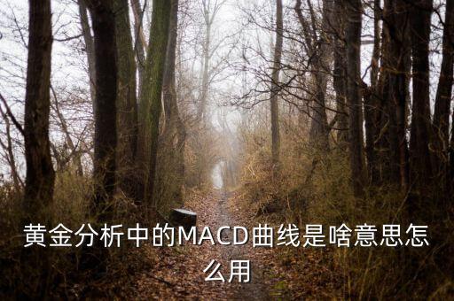 黃金分析中的MACD曲線是啥意思怎么用