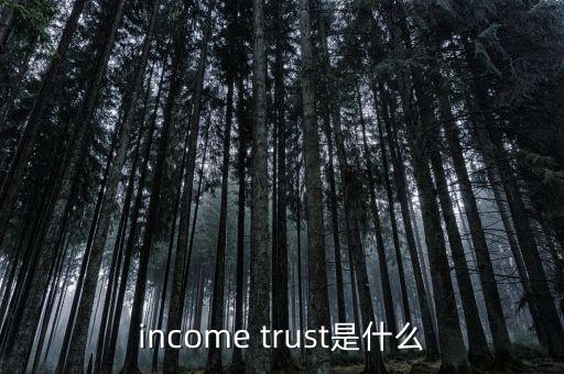 income trust是什么