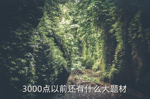 300073有什么題材，3000點以前還有什么大題材