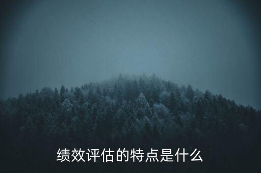 績(jī)效評(píng)估的特點(diǎn)是什么